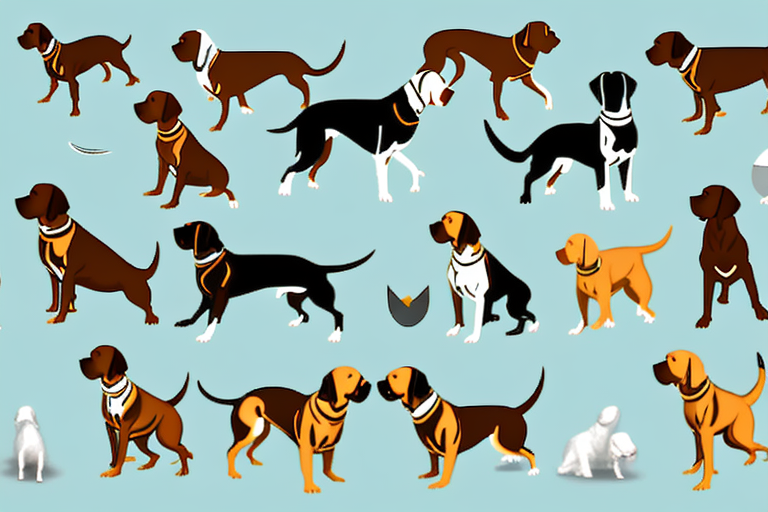 Various breeds of hunting dogs in different hunting scenarios