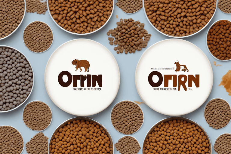 Various types of orijen dog food products arranged in a semi-circle