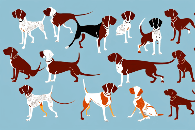 Several different types of bird dogs