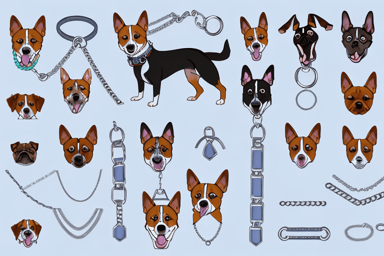 Various types of dog collars