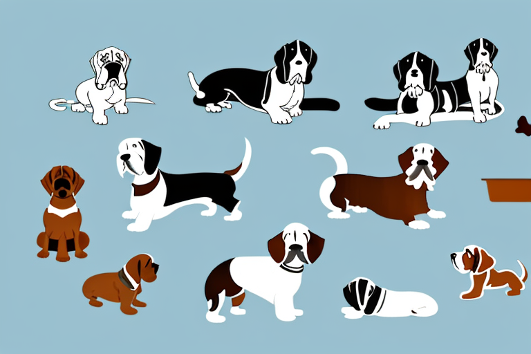 Several different breeds of dogs known for their calm demeanor