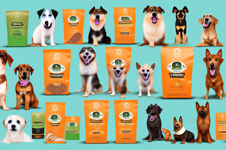 Various types of cesar dog food lined up