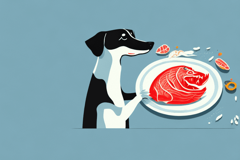 A curious dog sniffing at a raw fish head placed on a plate