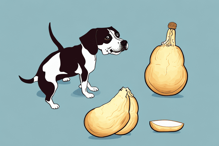 A curious dog sniffing a whole and a sliced rutabaga on a kitchen table