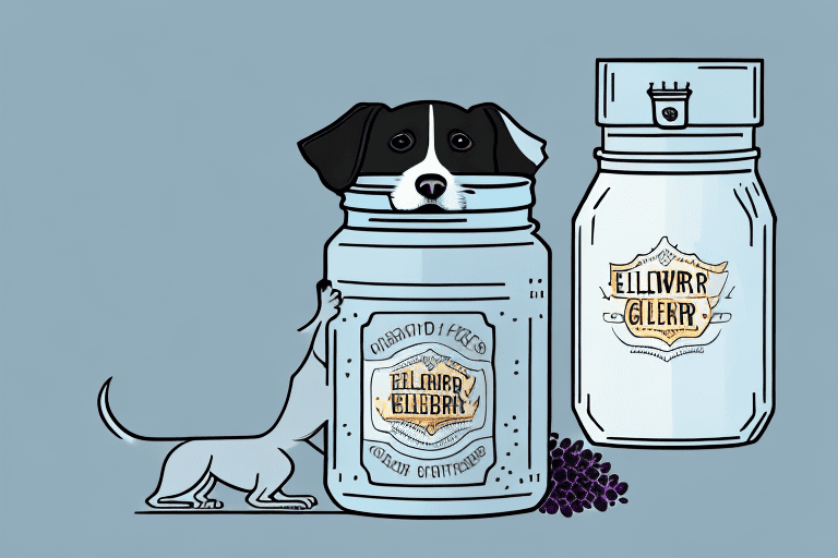 A curious dog sniffing at a jar of elderberry gummies