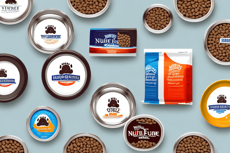 Several different types of dog food brands