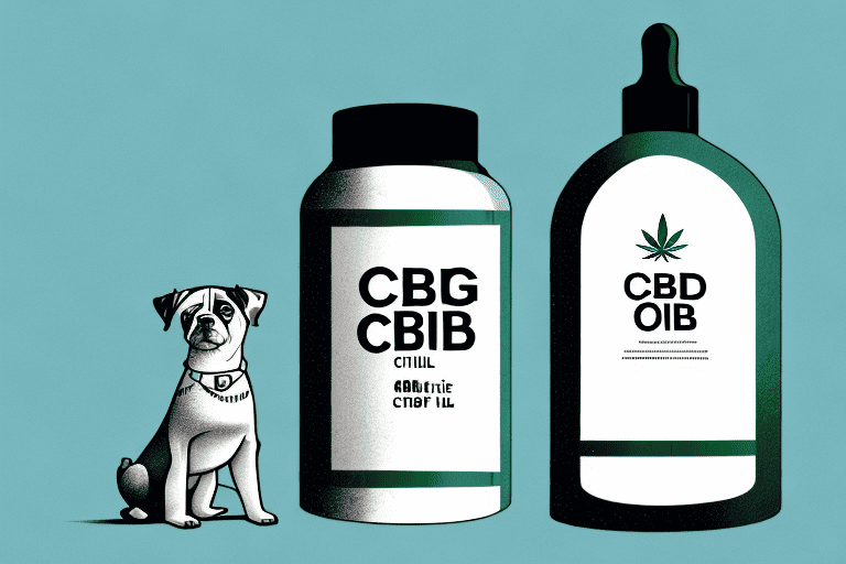 A dog sitting next to a bottle of cbd oil with a human silhouette in the background