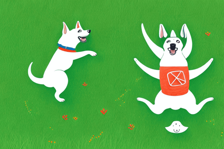 A playful dog mid-somersault on a grassy lawn