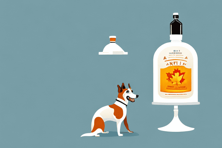 A curious-looking dog sniffing a bottle of maple syrup